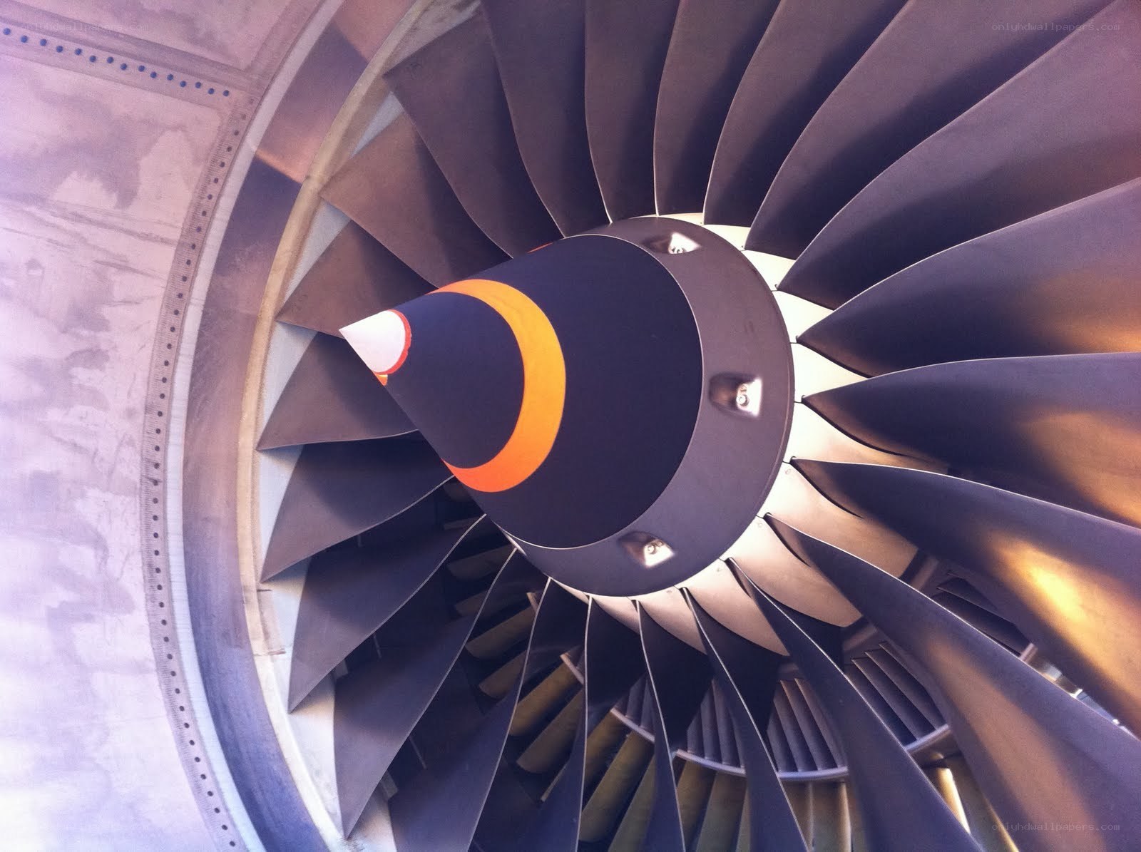 Jet engine fan blades