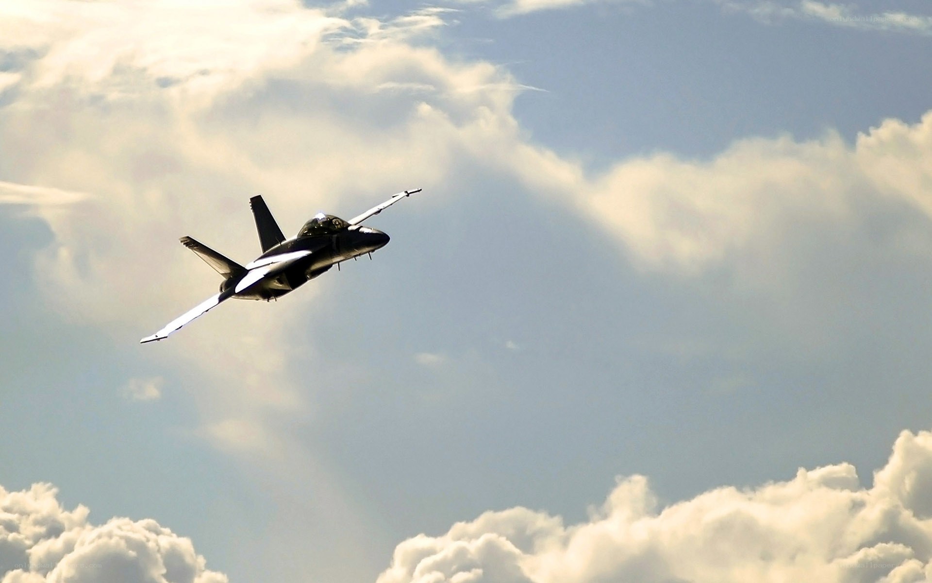 jet fighter in cloudy sky