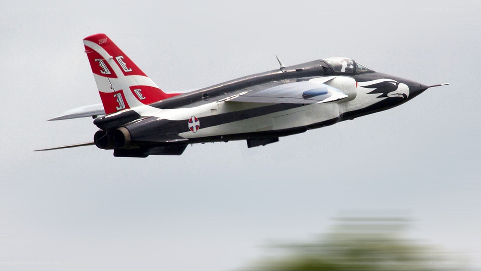 jet fighter in flight