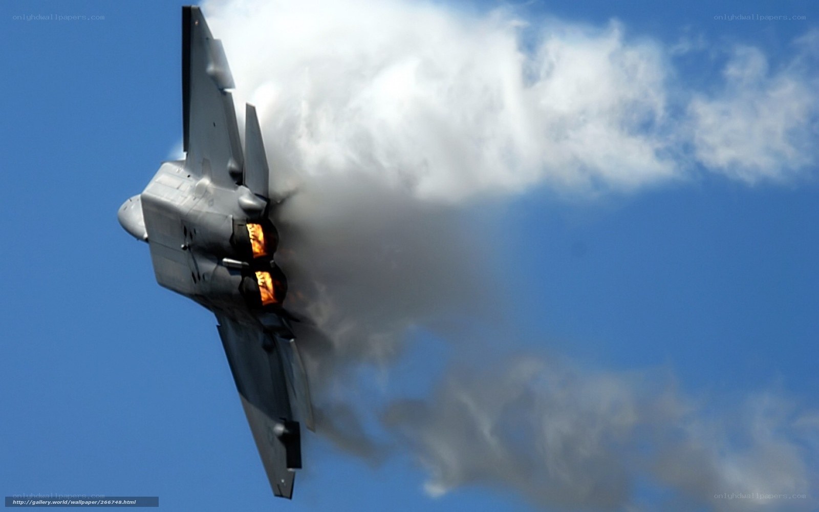 Jet fighter in flight
