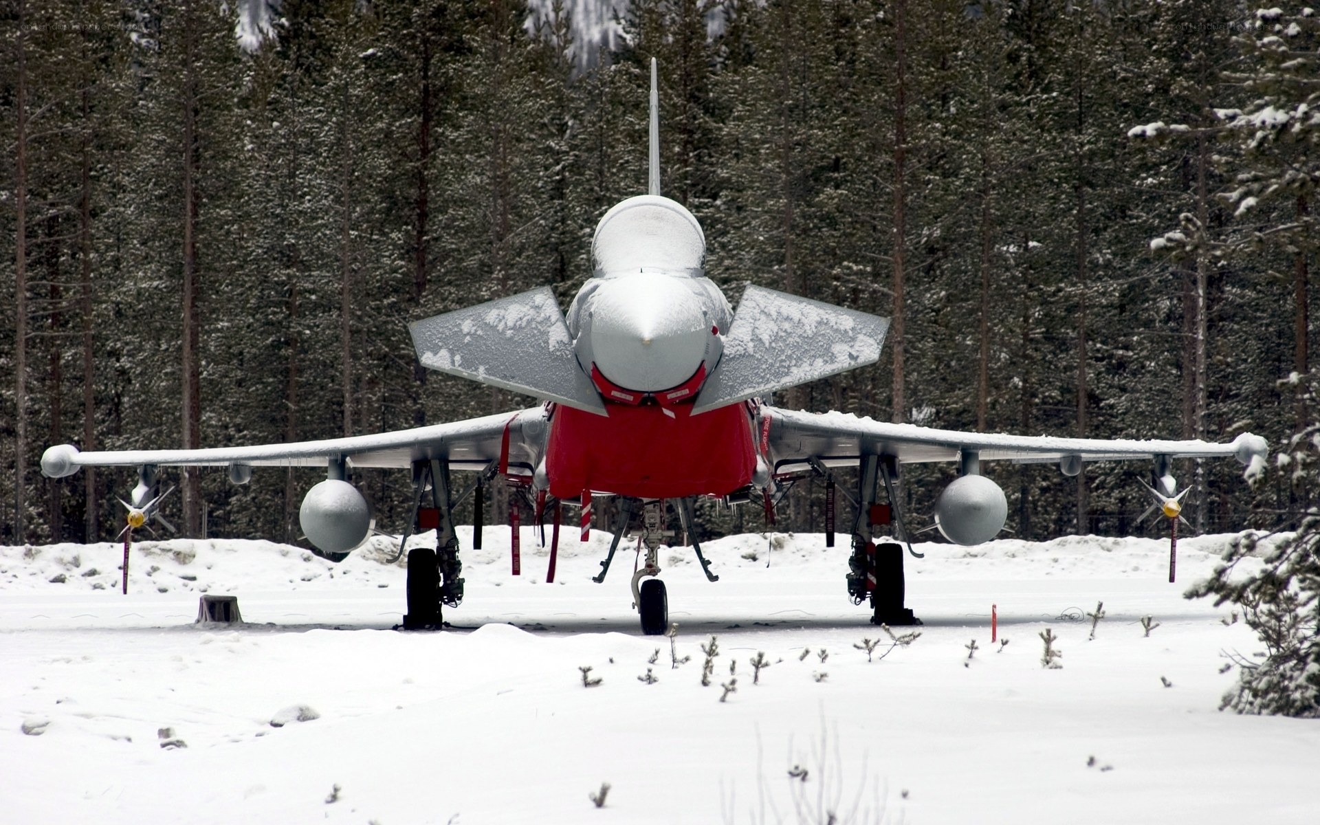 Jet fighter in snowy forest