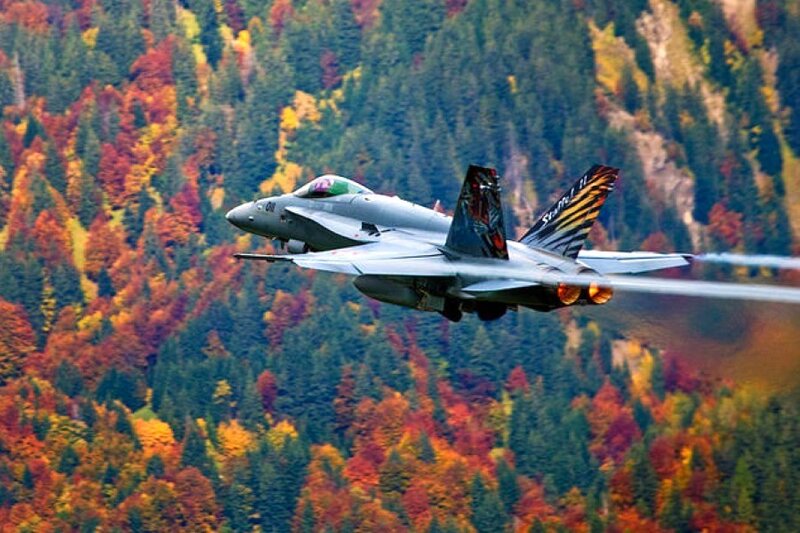 Jet fighter over autumn forest