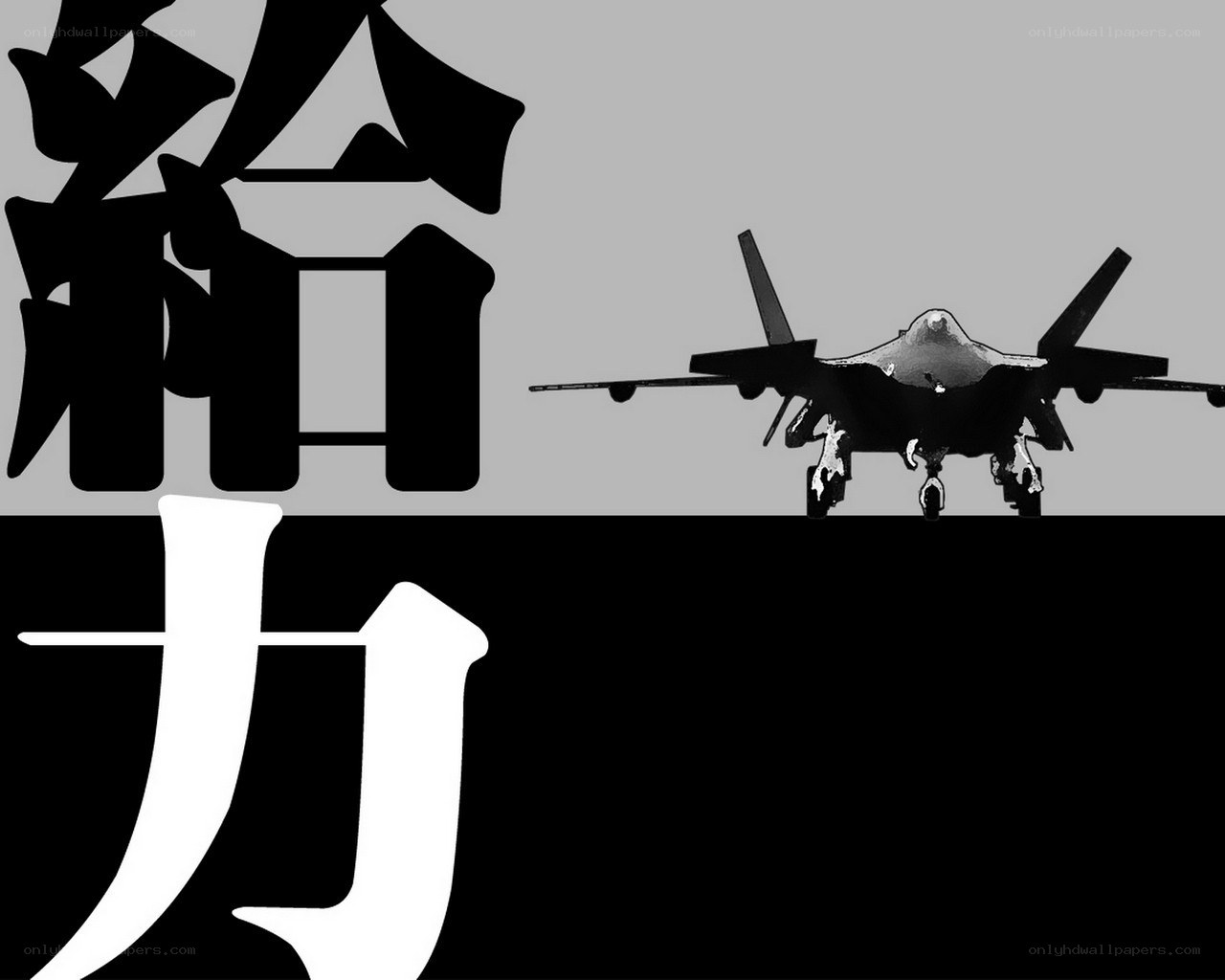 Jet fighter with Chinese characters