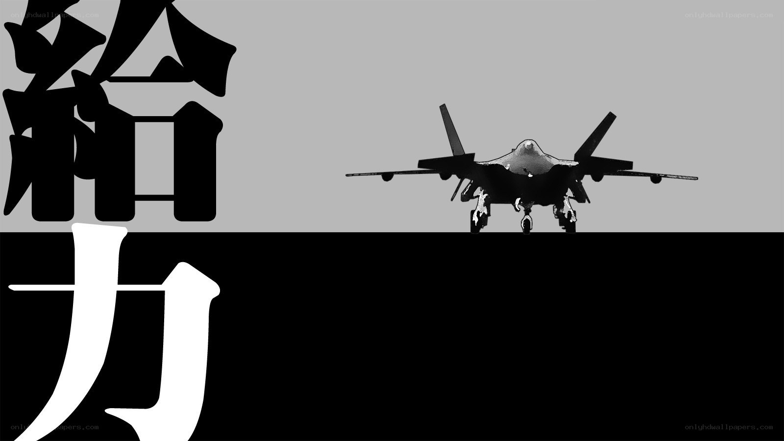 Jet fighter with Japanese characters