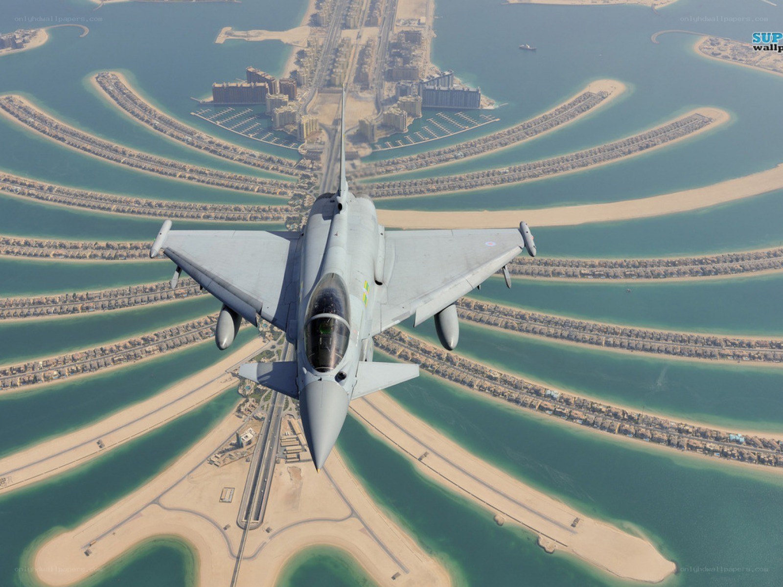 Jet over Palm Jumeirah