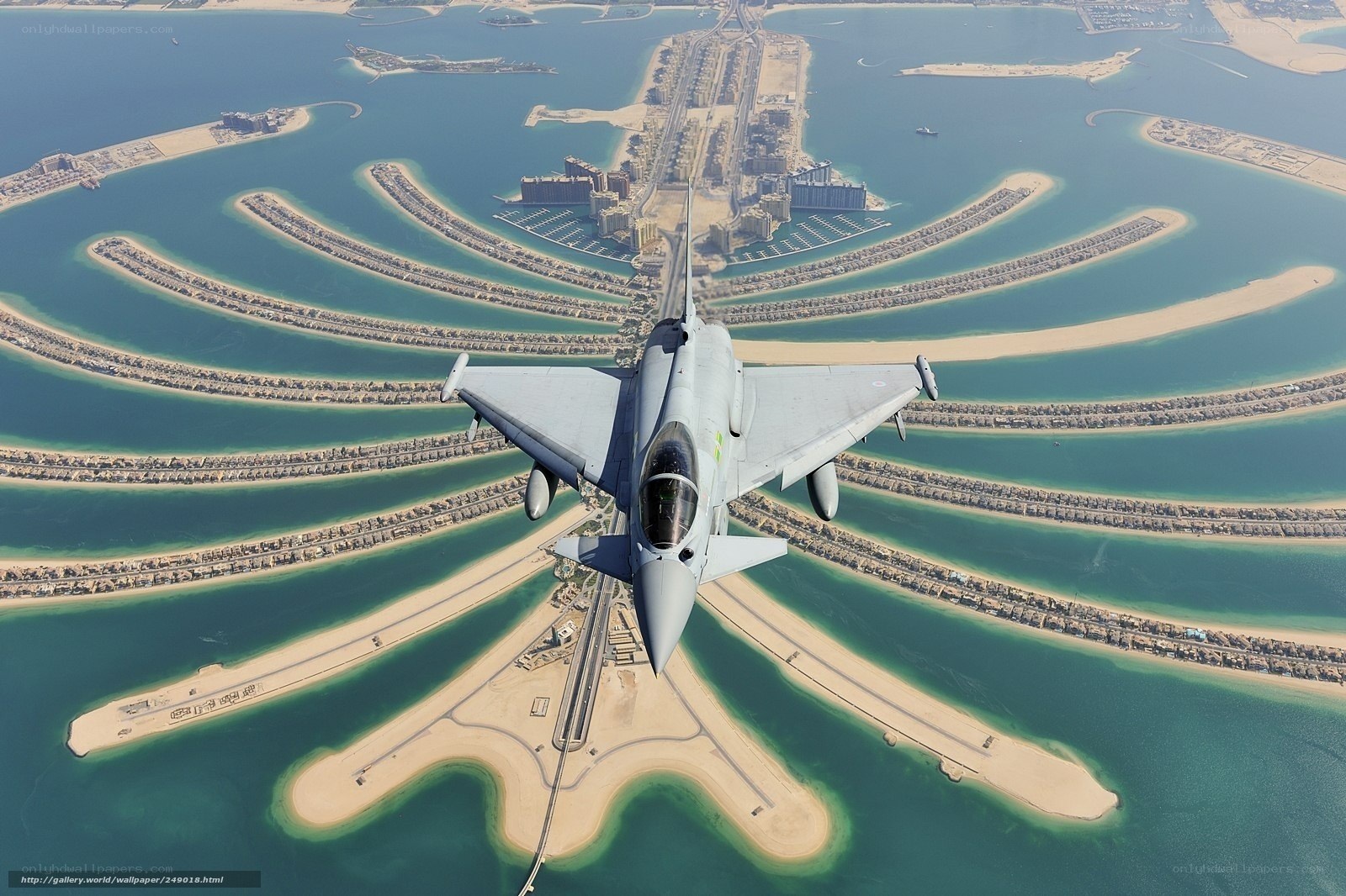 Jet over Palm Jumeirah