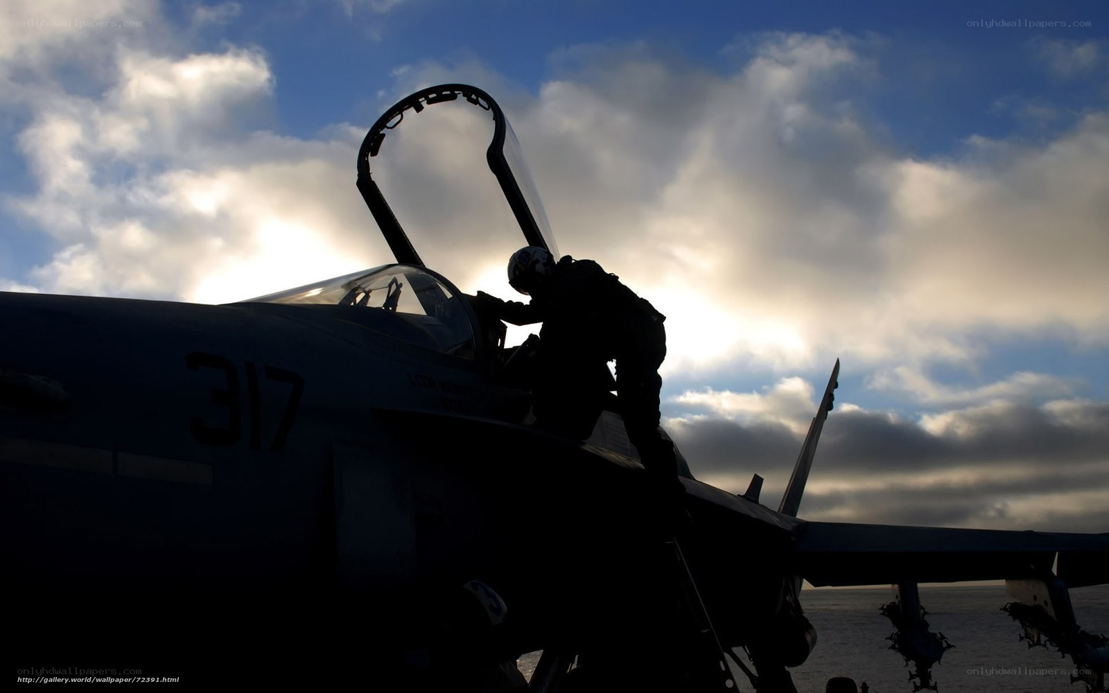 Jet pilot boarding aircraft