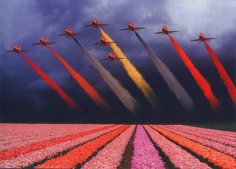 Jet planes over tulip fields