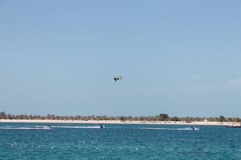 Jet Skis on Water