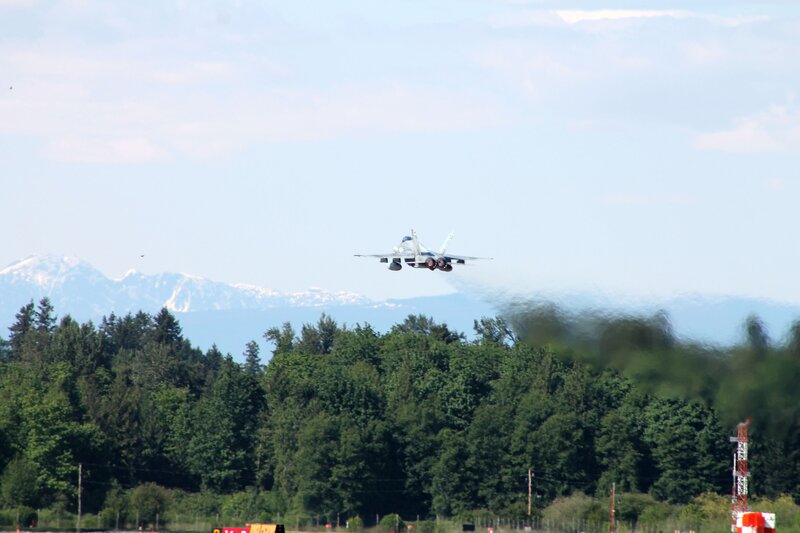 jet taking off over trees