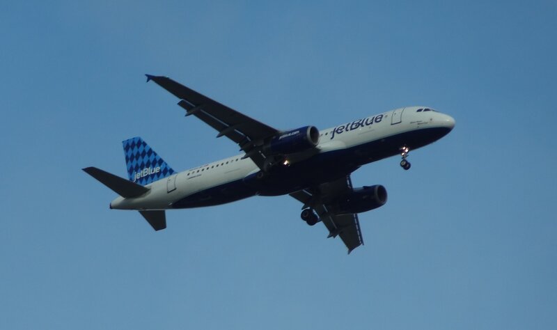 JetBlue Airplane in Flight — Blue, Calm