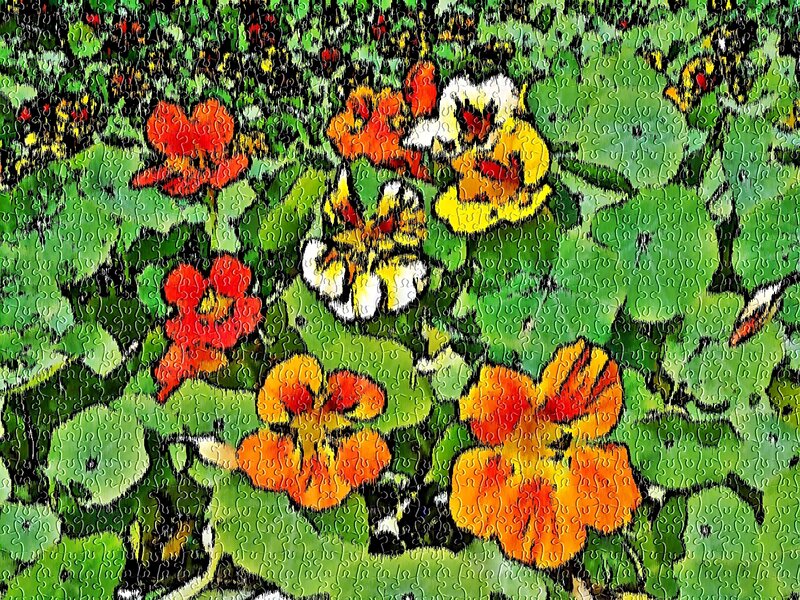 Jigsaw puzzle of flowers