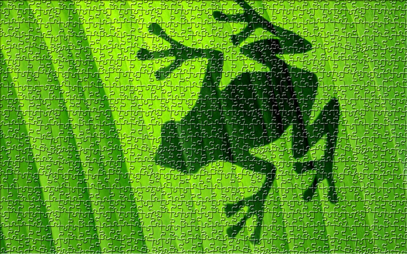 Jigsaw puzzle with frog shadow