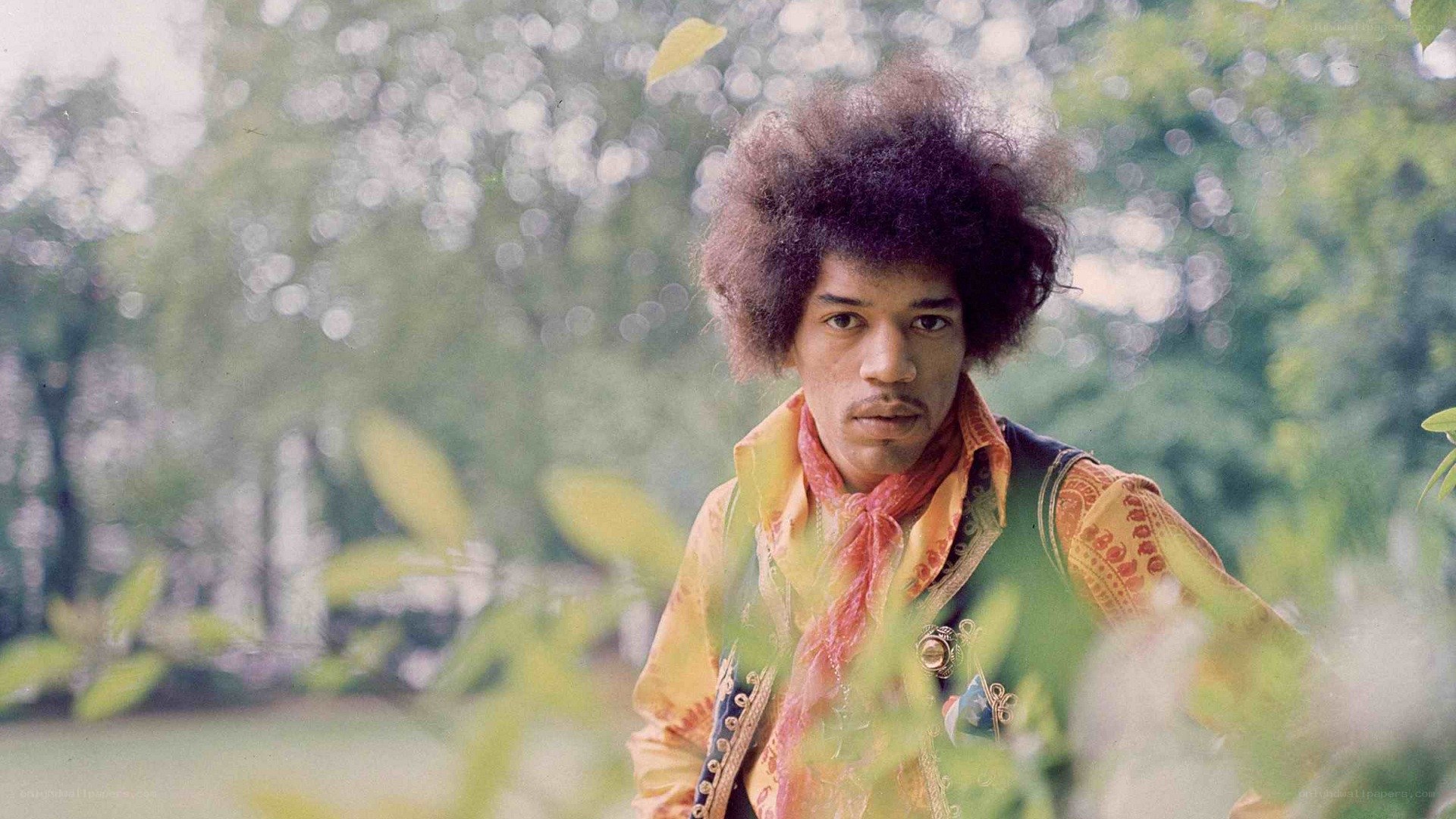 jimmy hendrix in garden