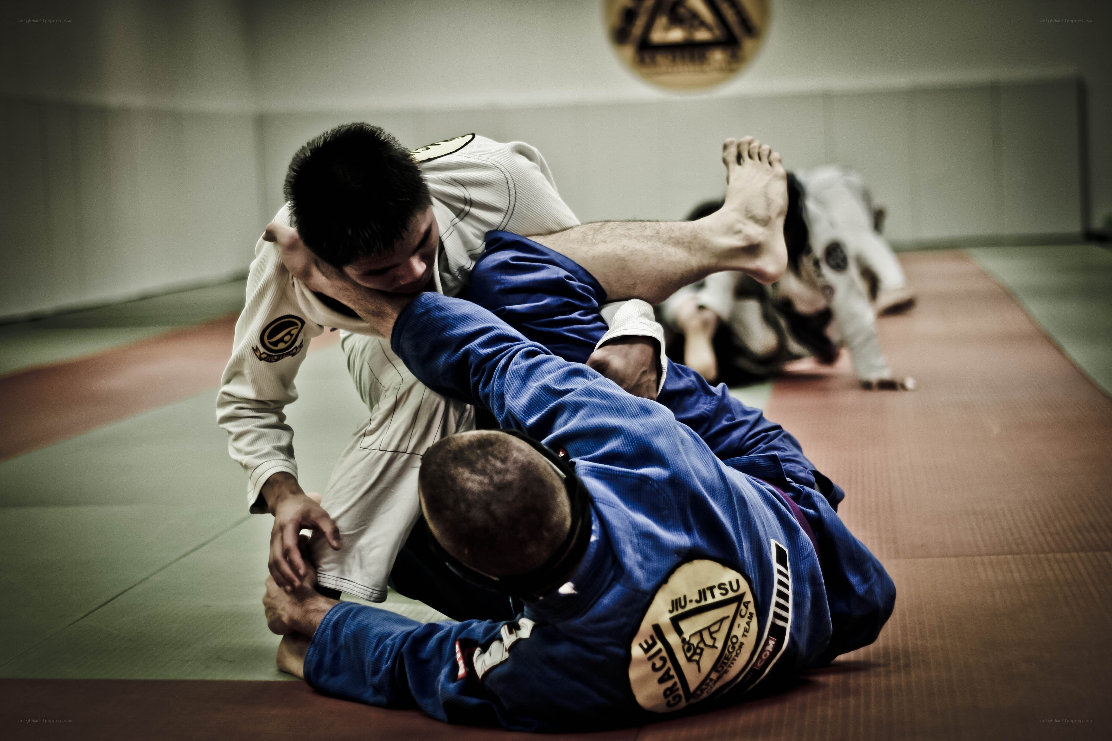 Jiu-jitsu grappling on mats