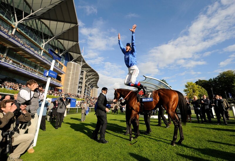 Jockey celebrates victory on horse