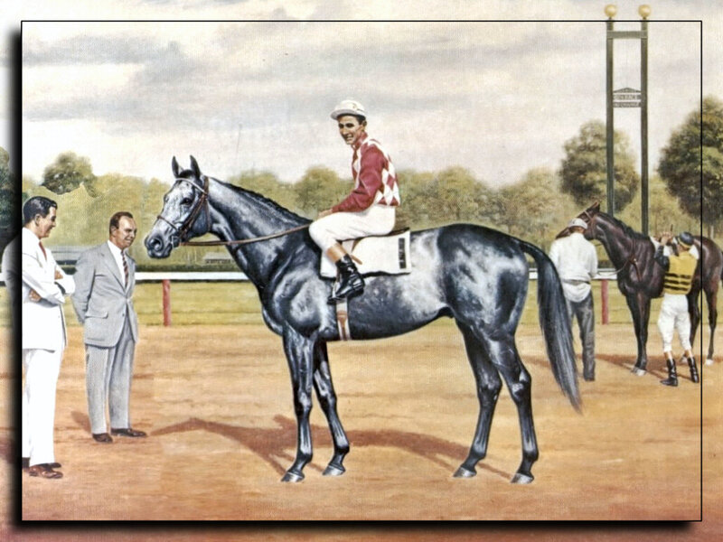 Jockey on Black Horse — Calm
