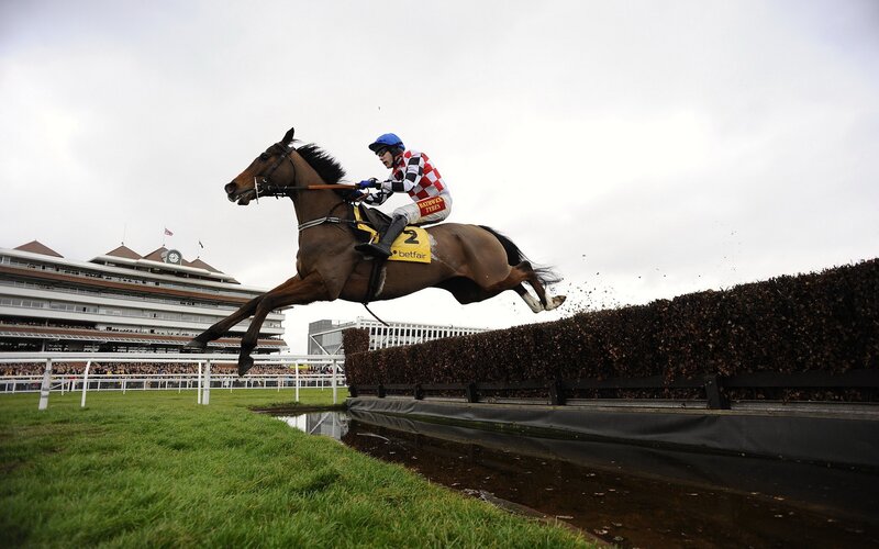 Jockey on Horse Jumping — Brown