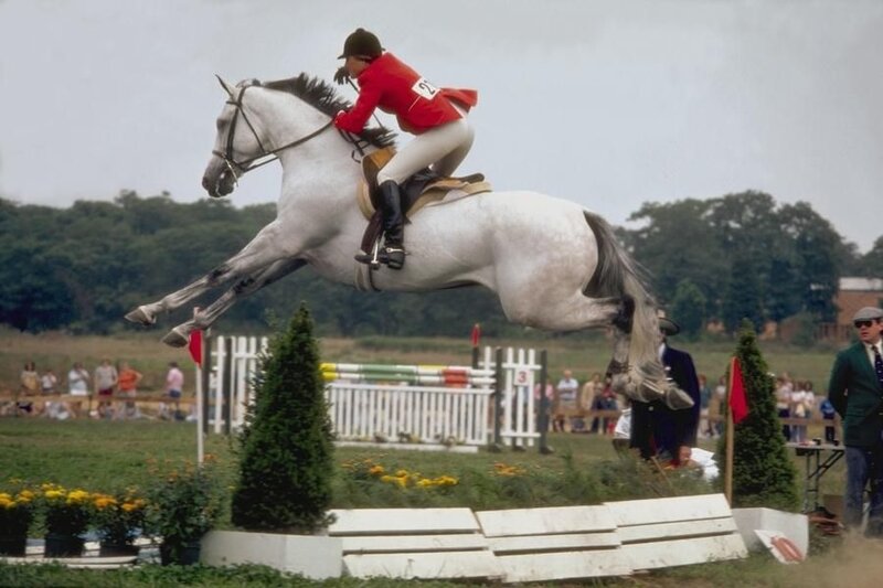 Jockey on Horse Jumping — White