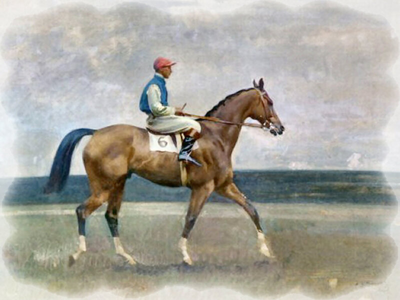 Jockey on Racehorse — Brown