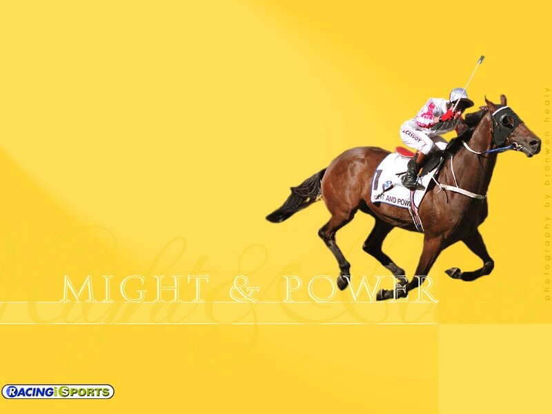 Jockey on Racehorse — Yellow