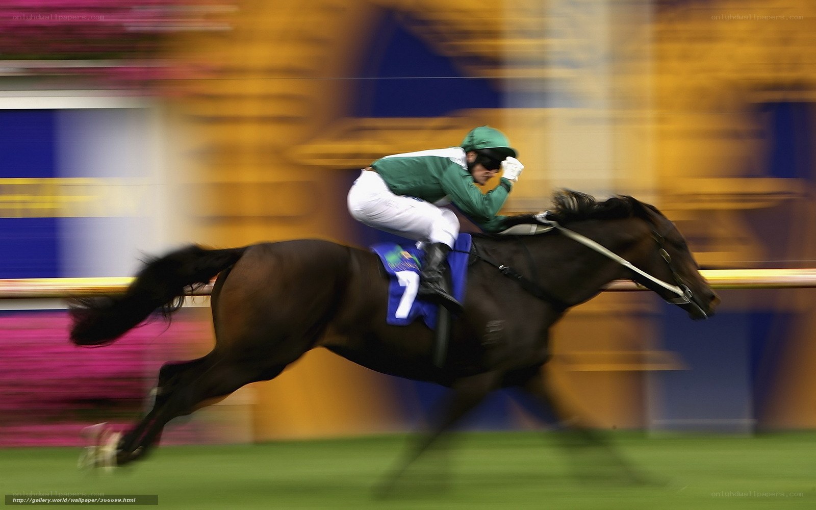 Jockey racing on horse