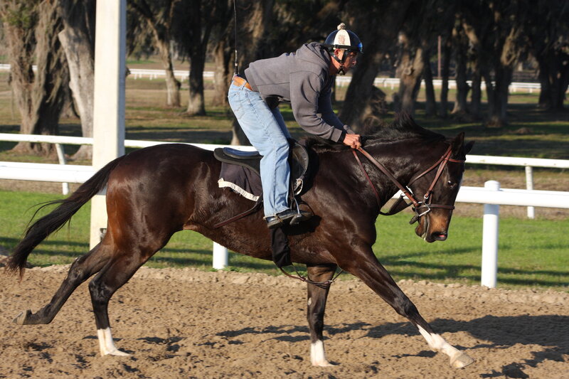 Jockey Riding a Horse