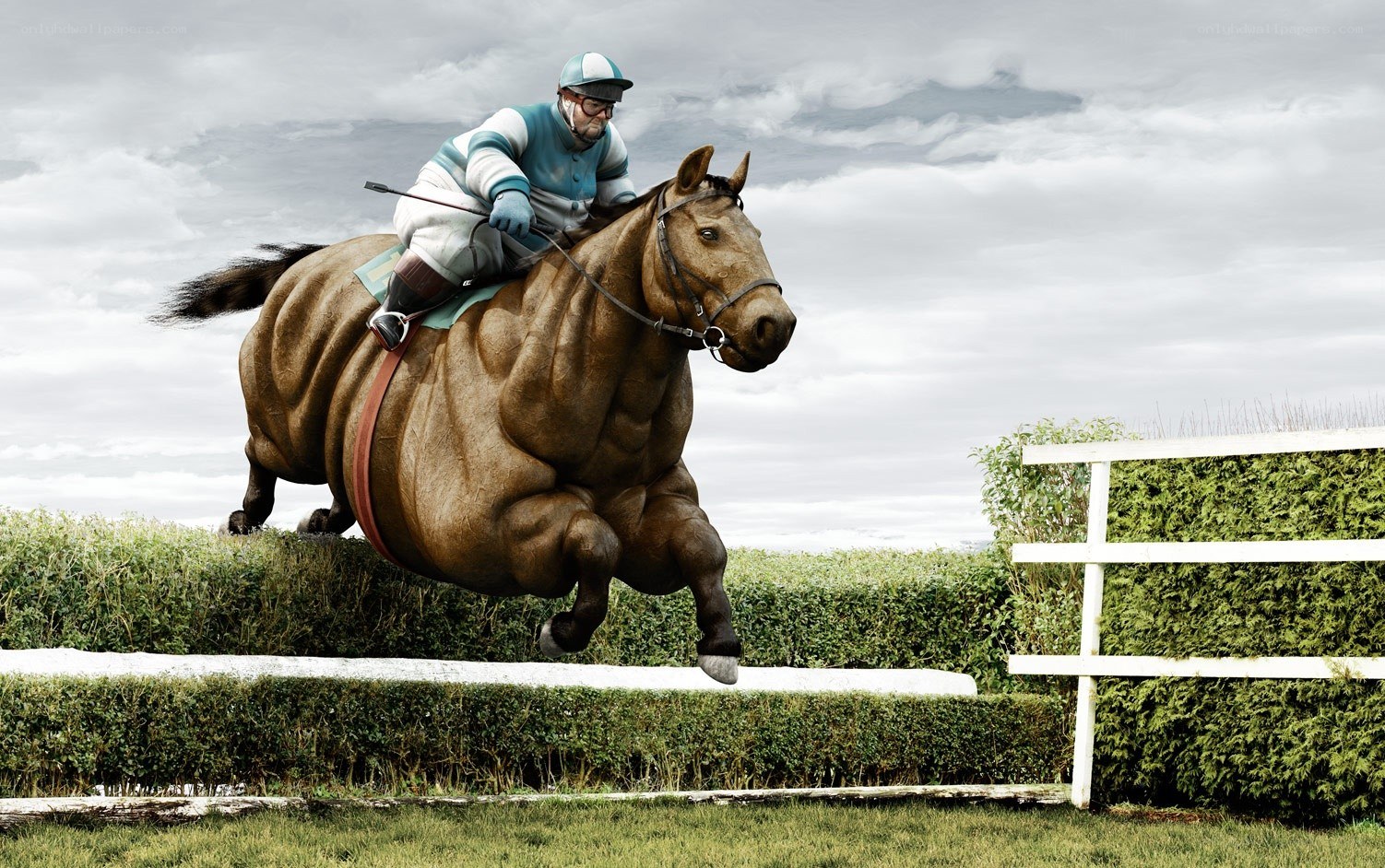 jockey riding a large horse