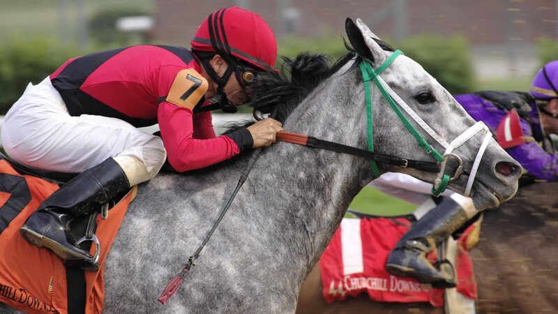 jockey riding grey horse