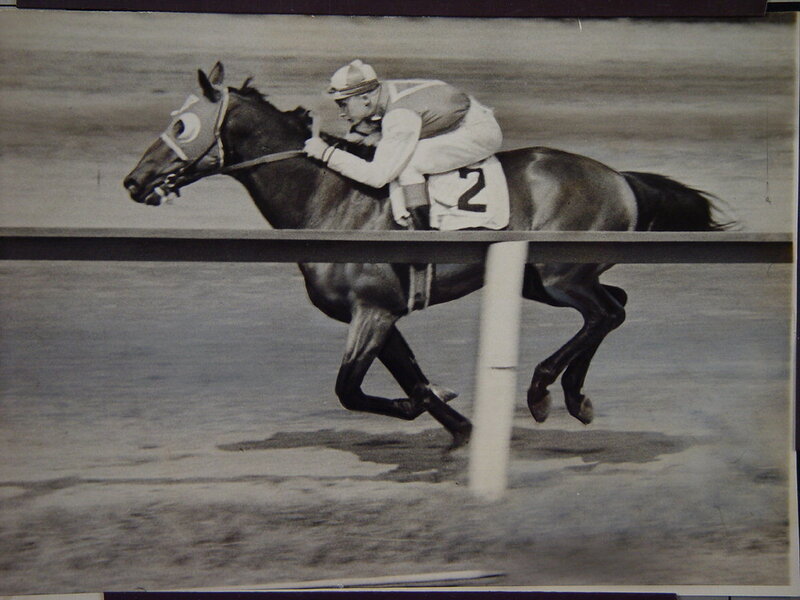 Jockey Riding Horse — Black