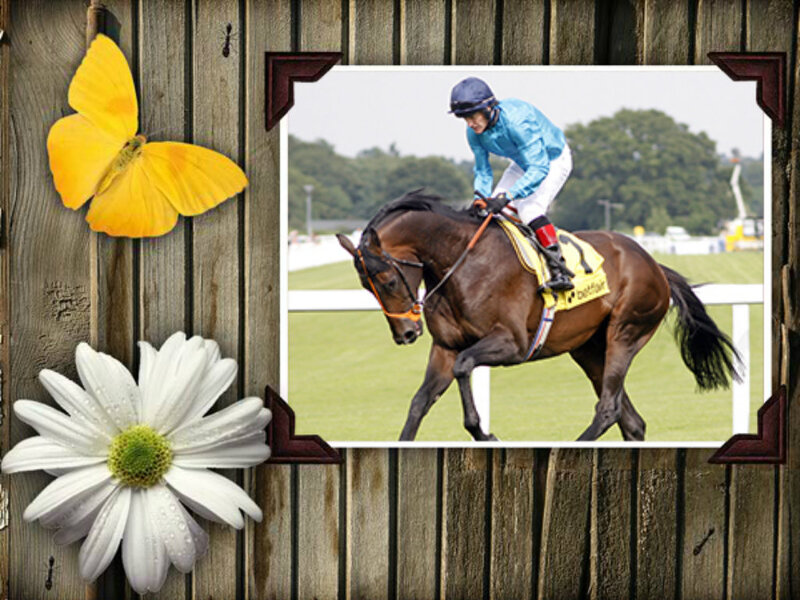 Jockey Riding Horse — Brown, Active