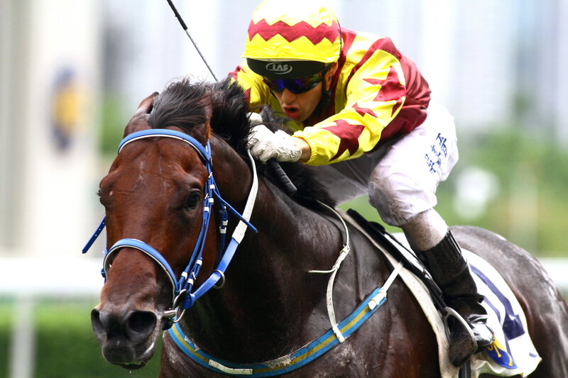 Jockey Riding Horse — Brown, Intense