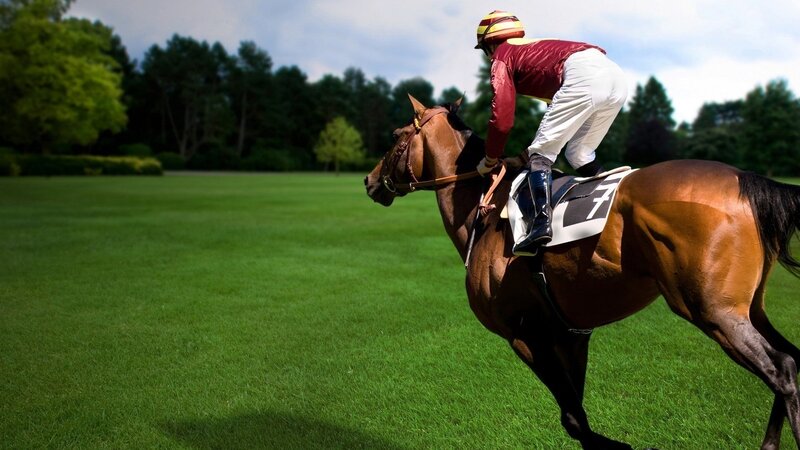 Jockey Riding Horse — Green, Dynamic, Afternoon