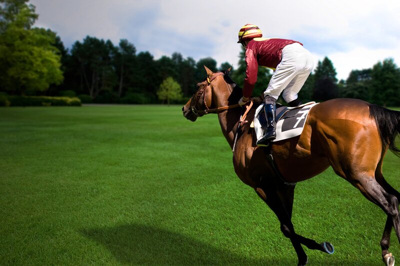 jockey riding horse on grass
