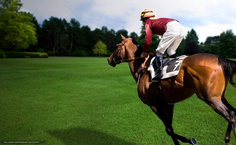 jockey riding horse on grass