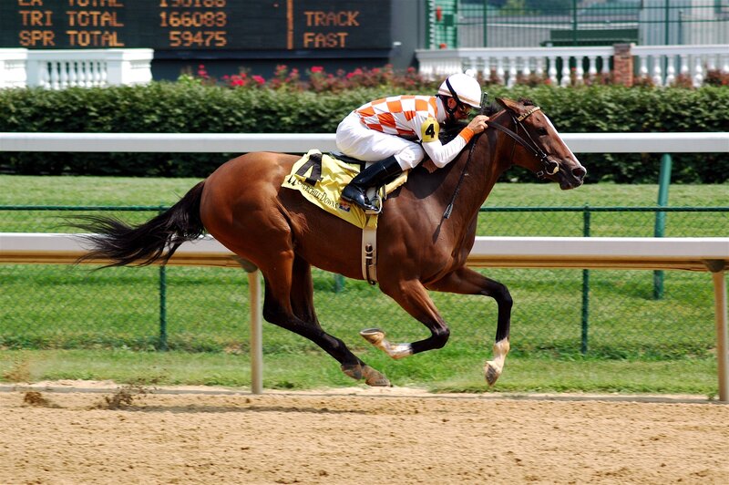 Jockey riding horse on racetrack
