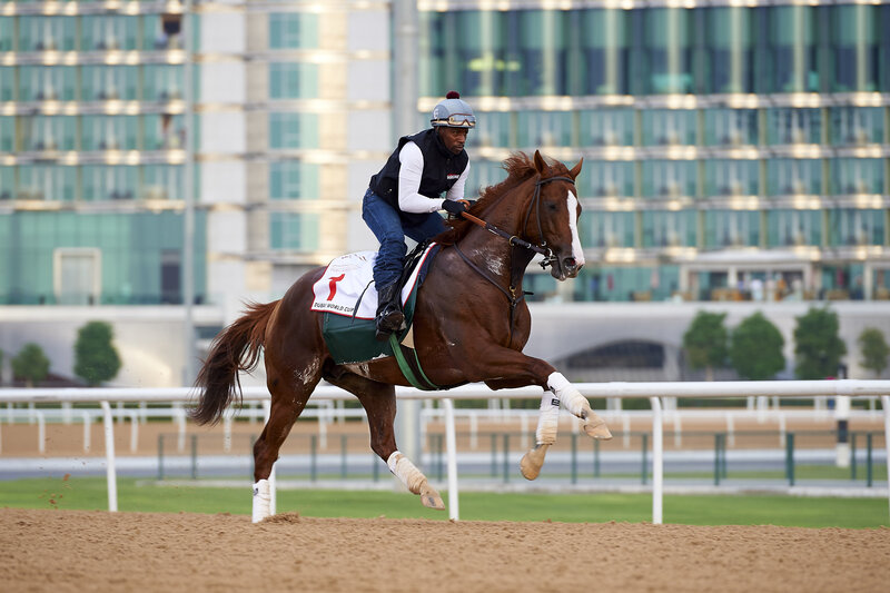 Jockey riding horse on racetrack