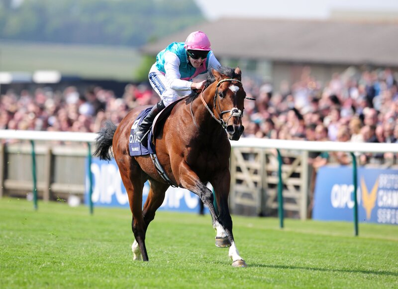 jockey riding horse on racetrack