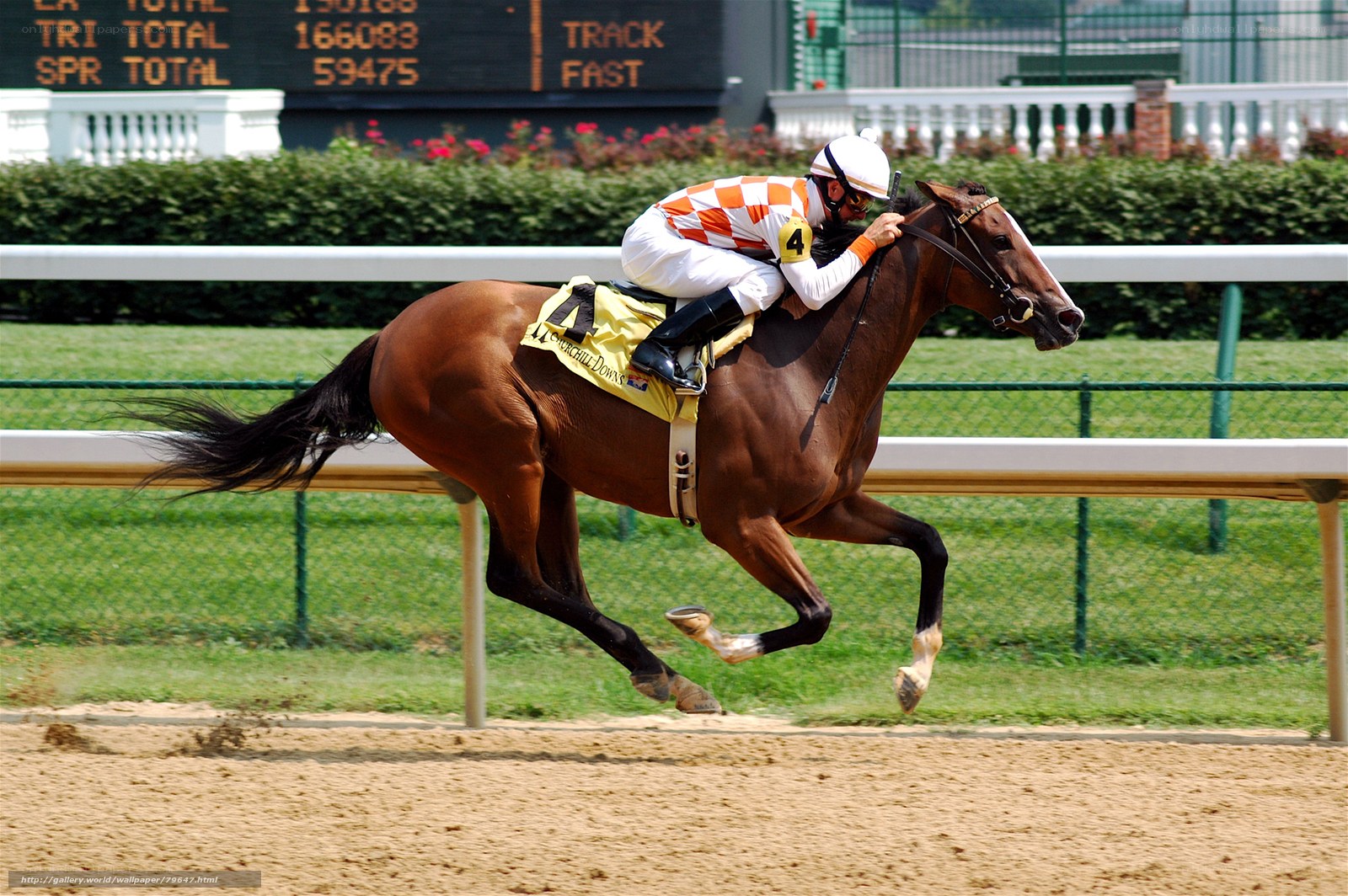 jockey riding horse on racetrack