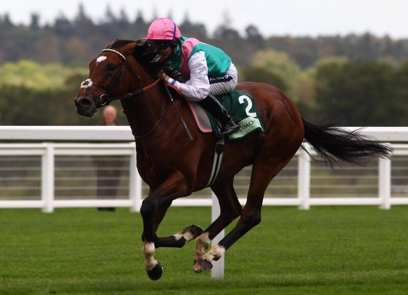 jockey riding racehorse