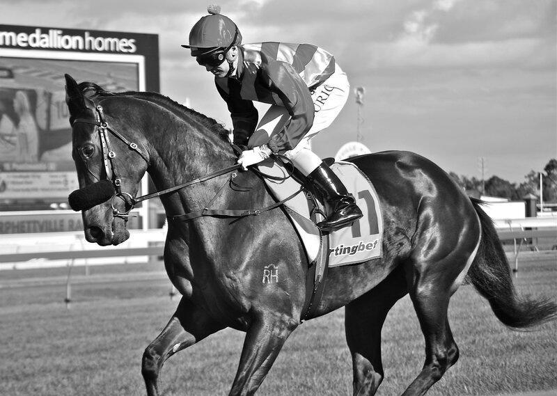 jockey riding racehorse