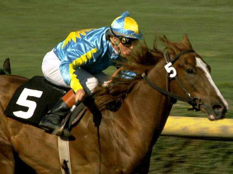 jockey riding racehorse
