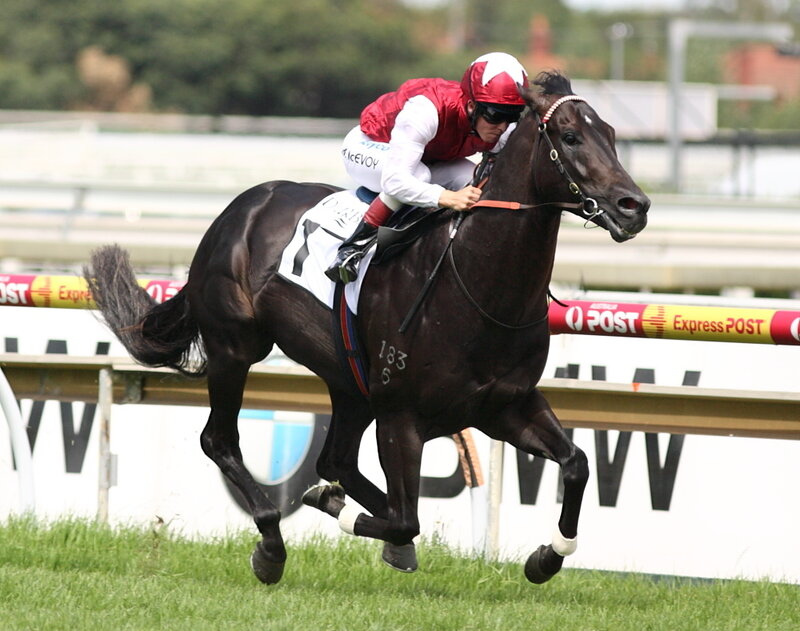 jockey riding racehorse