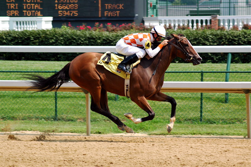 Jockey Riding Racehorse — Brown, Active