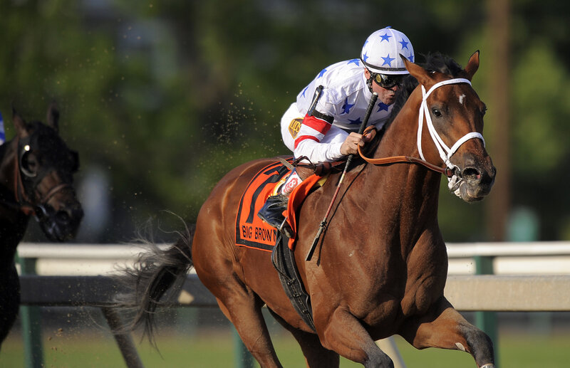Jockey Riding Racehorse — Brown, Dynamic