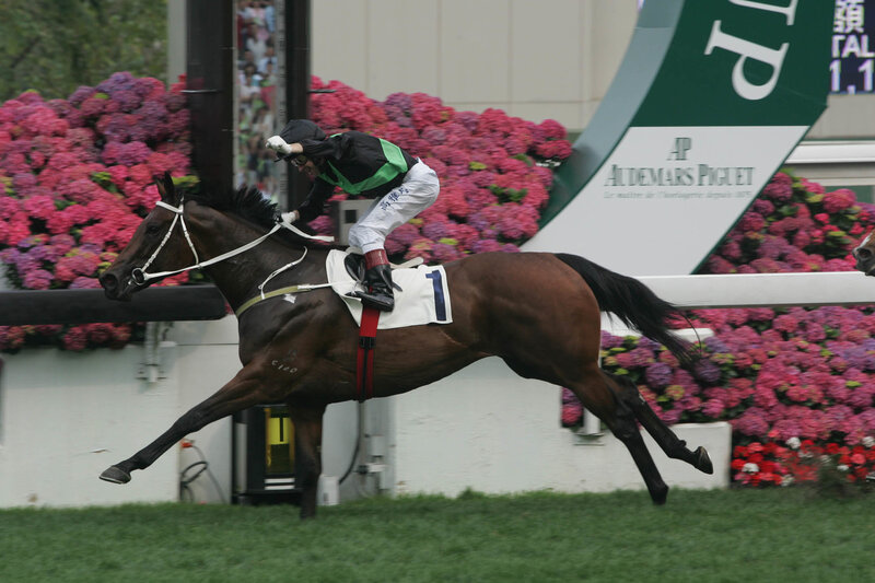 Jockey Riding Racehorse — Brown