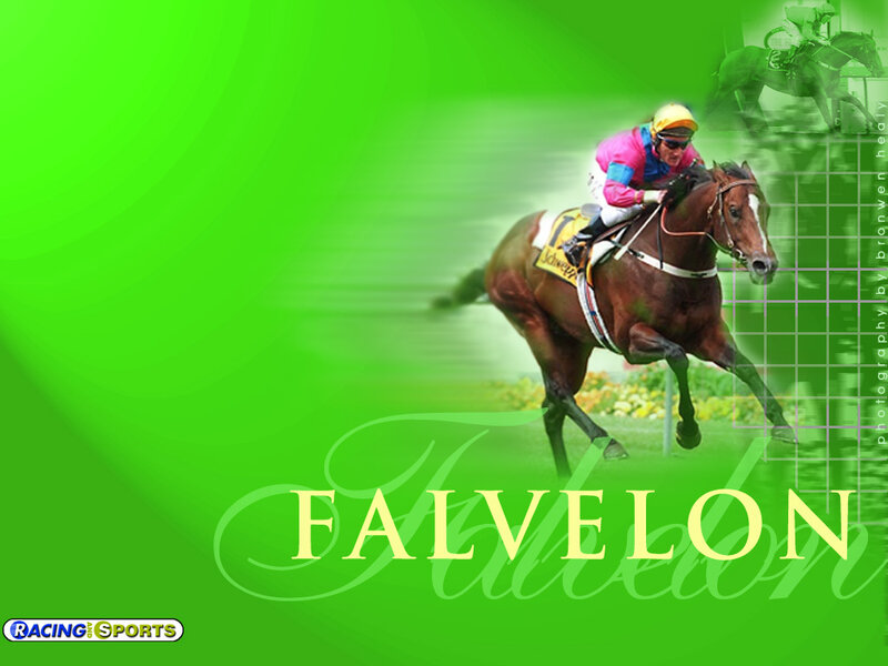 Jockey Riding Racehorse — Green, Dynamic, Photograph