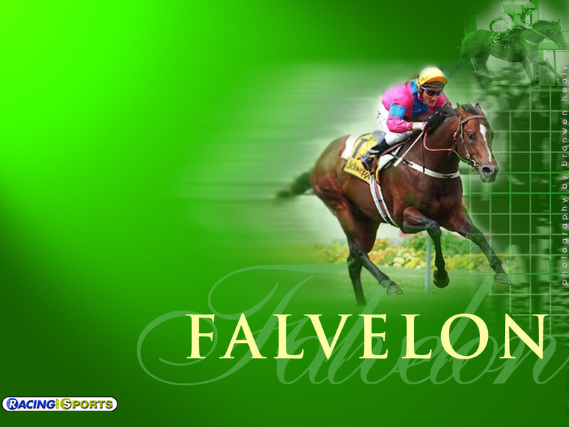 Jockey Riding Racehorse — Green, Dynamic
