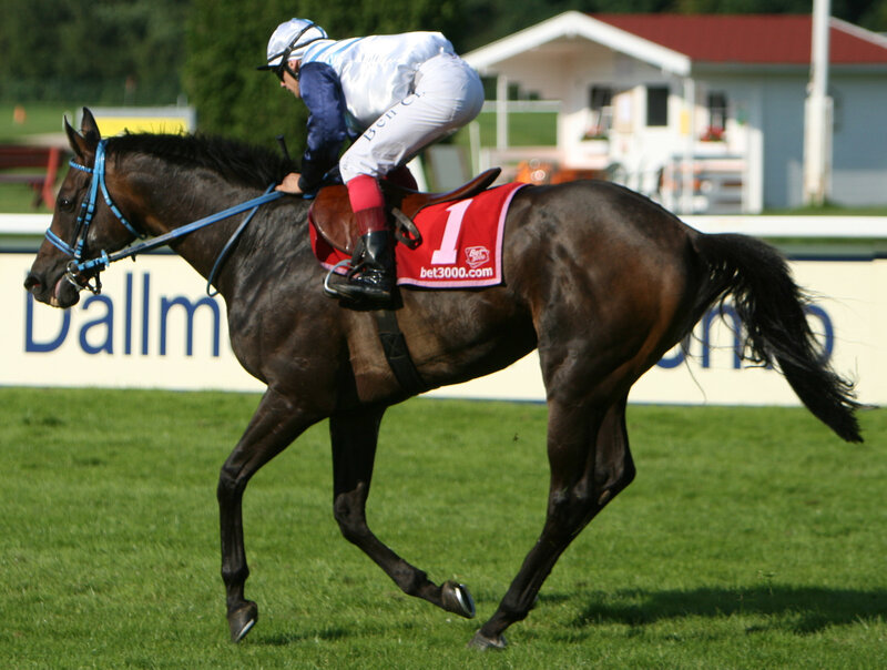 Jockey Riding Racehorse — Green