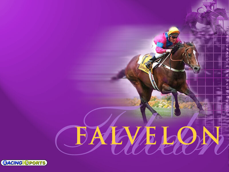 Jockey Riding Racehorse — Purple, Dynamic